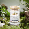 Cata-Kor NAD+ Core - NAD Supplement